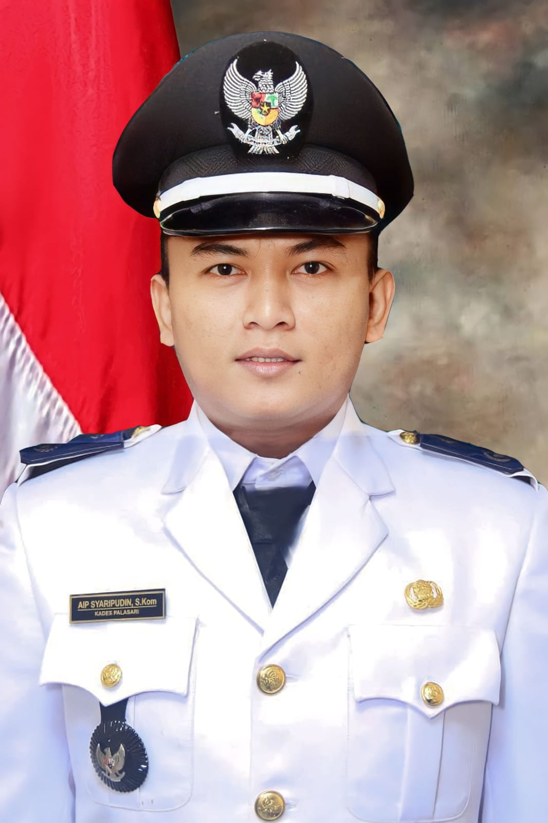 DESA PALASARI